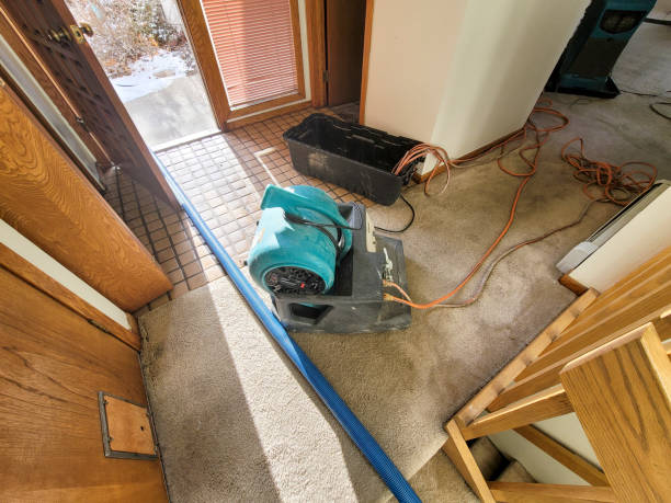 Best Professional water damage repair  in Jennings Lodge, OR