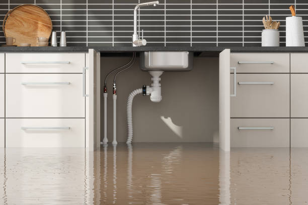 Best Fire Damage Restoration  in Jennings Lodge, OR
