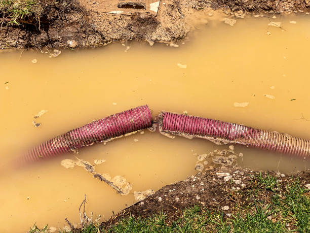 Best Water damage restoration near me  in Jennings Lodge, OR